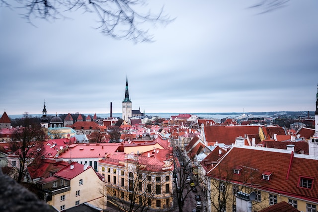 Эстония — Вторая страна мира по популярности электронных виз в Россию